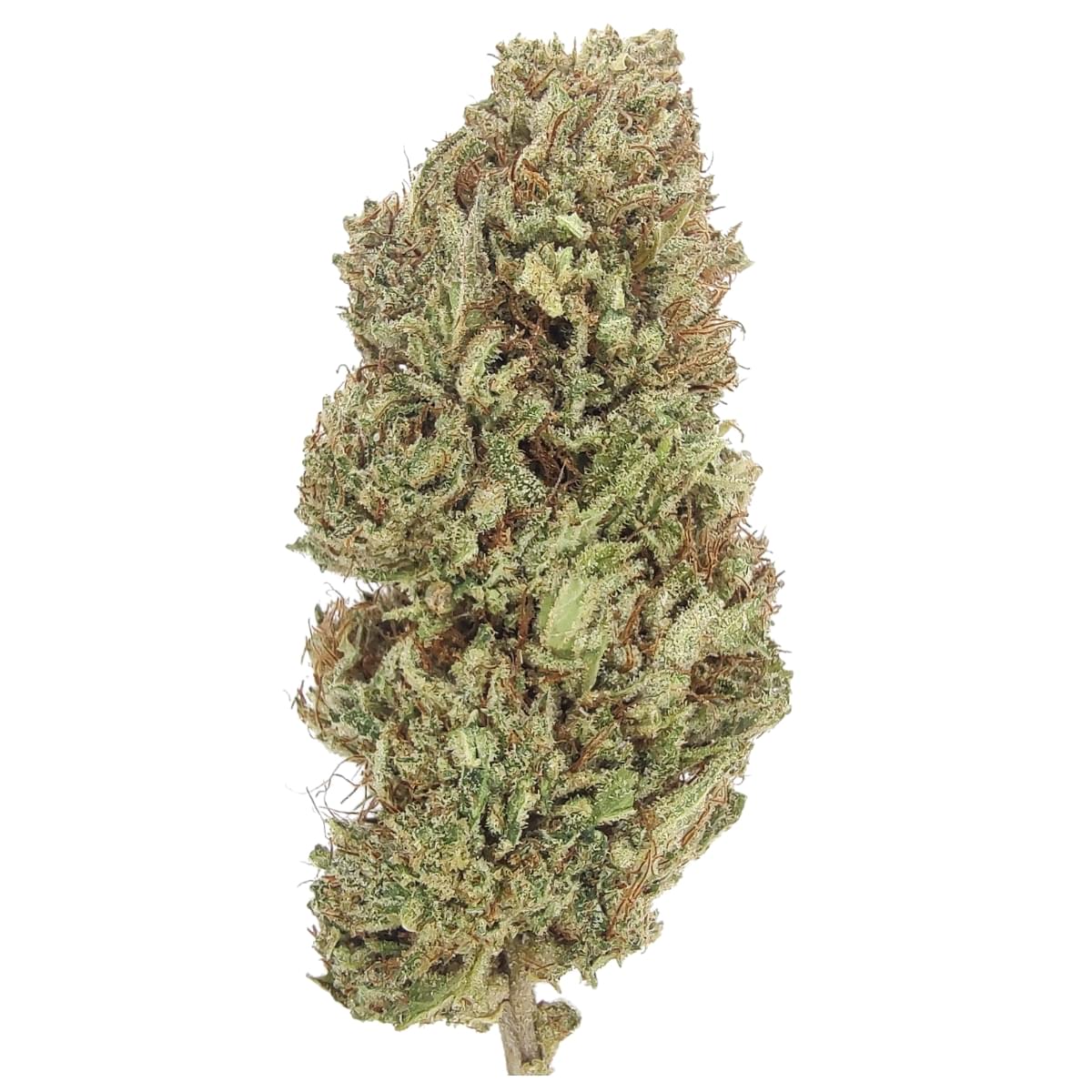 Special Sauce CBD Hemp Flower 1 Special Sauce CBD flower